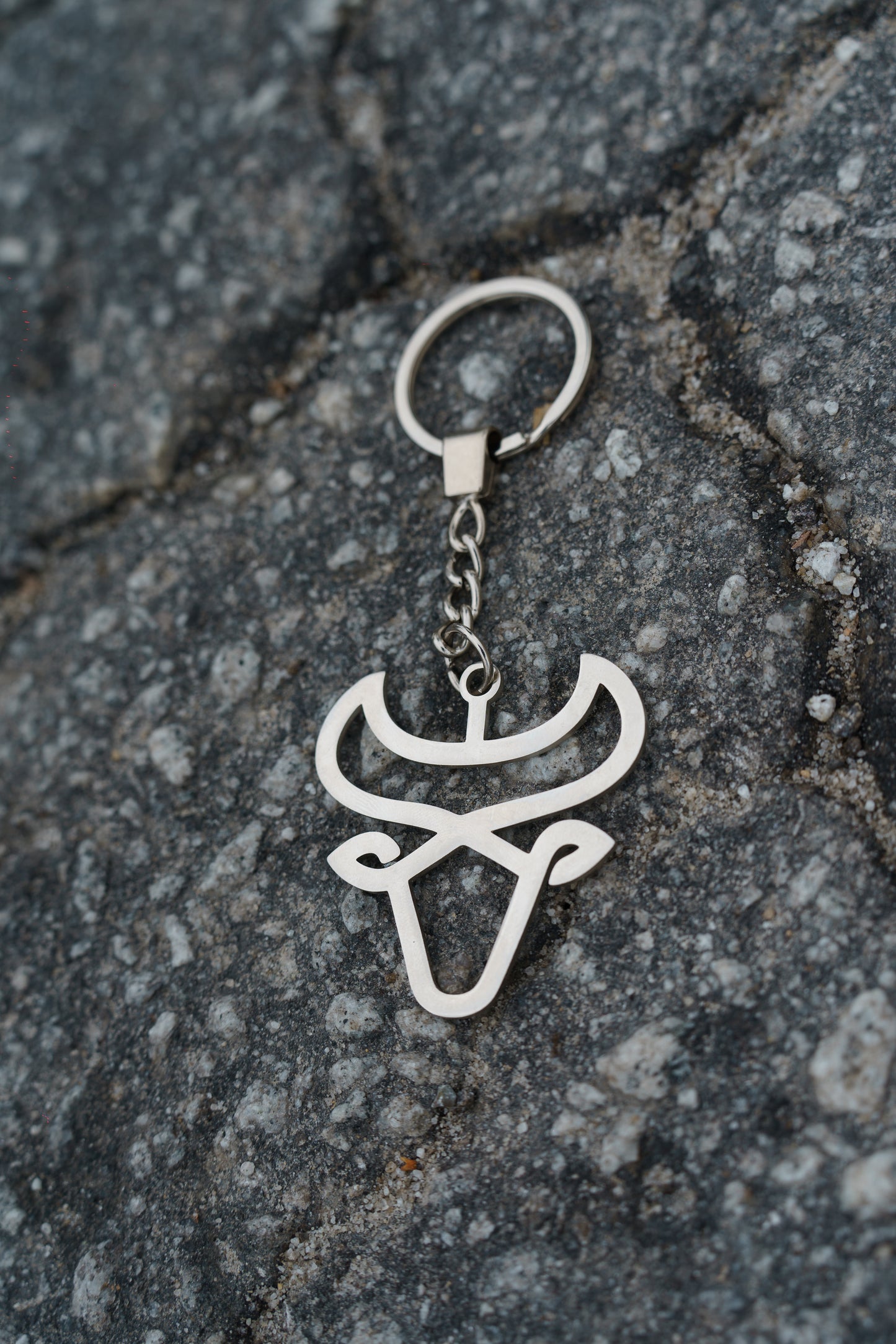 Frank Fourth Bull Keychain